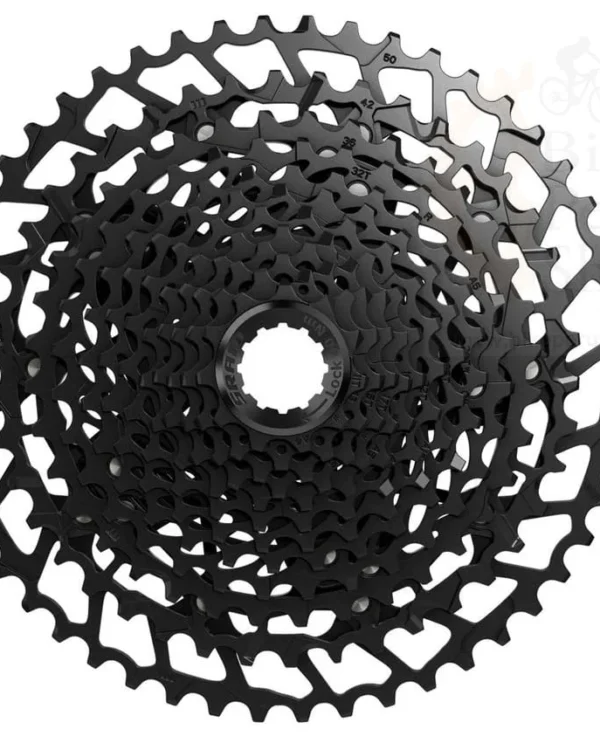 Piñon Sram NX Eagle 11-50T 12v